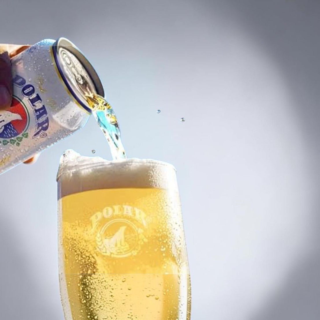 Cerveza Polar 330 ML - DMA LATIN MARKT UG